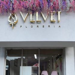 Velvet Florería