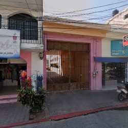 Venta De Plantas Y Flores. Floristería Harumi