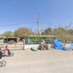 Venta Rosas Del Desierto