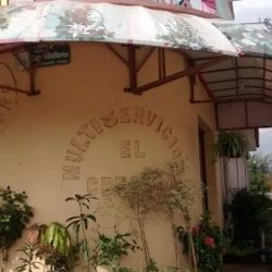 Ventas De Flores Exoticas Veflorex