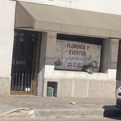 Verbena Flores Hermosillo