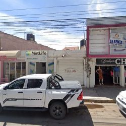 Versalles Arte Floral