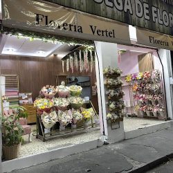 Vertel FloristerÍa