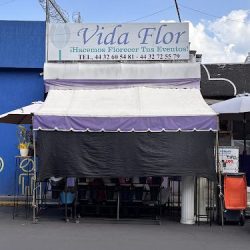 Vida Flor