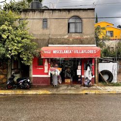 Villa Flores Abarrotes.