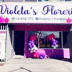 Violeta's Floreria
