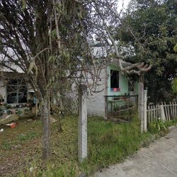 Vivero