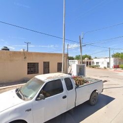 Vivero Constitucion