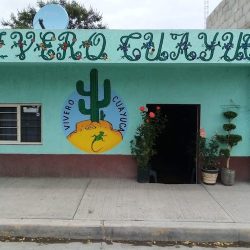 Vivero Cuayuca