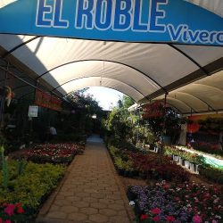 Vivero El Roble
