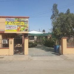Vivero Morales