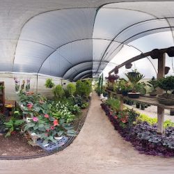 Vivero Planta Vida