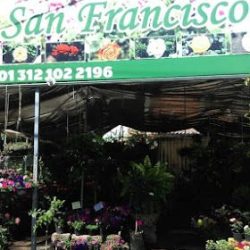 Vivero San Francisco
