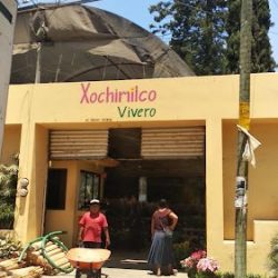 Vivero Xochimilco