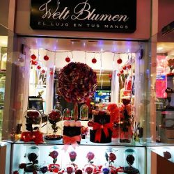 Welt Blumen
