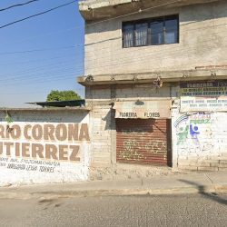 Wesko Floreria Flores