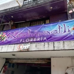 Xochipactli Floreria
