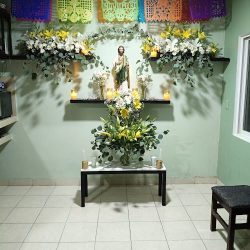 Xochiquetzallimid