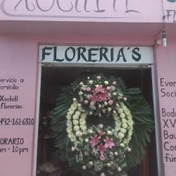Xochitl FlorerÍa