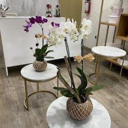 Yaakun Flores