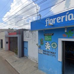 Yhanet Floreria