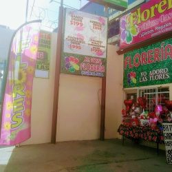 Yo Adoro Las Flores
