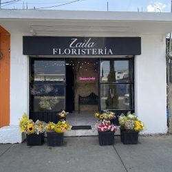 Zaila Floristería