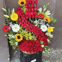 Zinnia Elegance Floreria