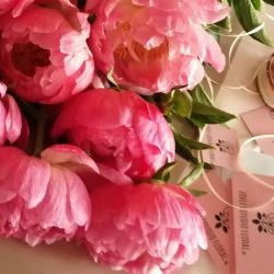 Zoeli Estudio Floral